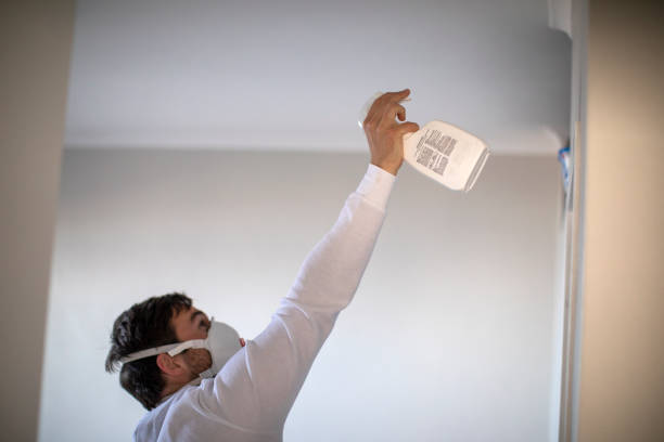 Best Certified Mold Removal  in Gilroy, CA