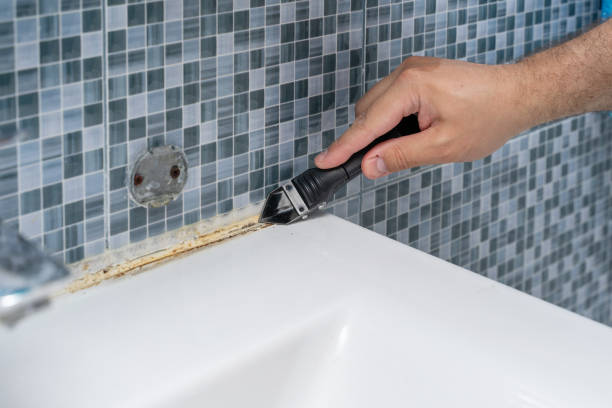 Best Black Mold Removal  in Gilroy, CA